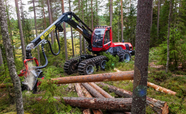 ﻿목재 전용 자동 수확기(Harvester)를 이용한 벌목