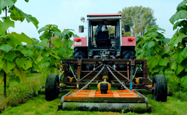 잡초를 뭉개 버리는 수평터치식 멀쳐